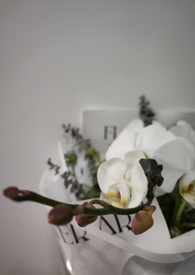 我的未婚妻欲求不满